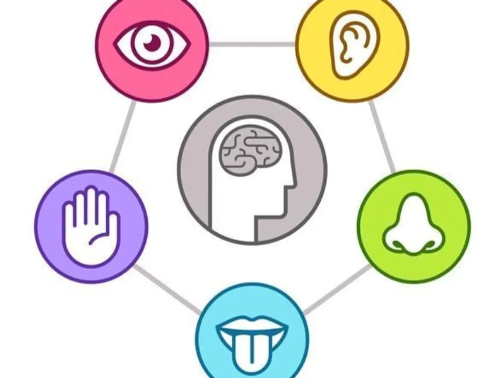 Sensory Memory Mastery: Boost Skills