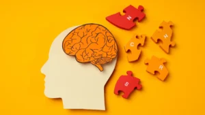 Unlocking Memory: False Recall Phenomena